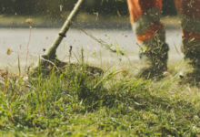 Writing Helpful Lawn Care Content for Customers