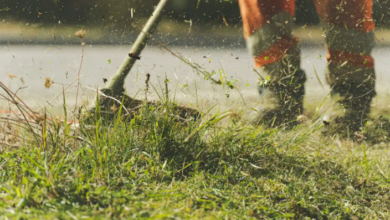 Writing Helpful Lawn Care Content for Customers